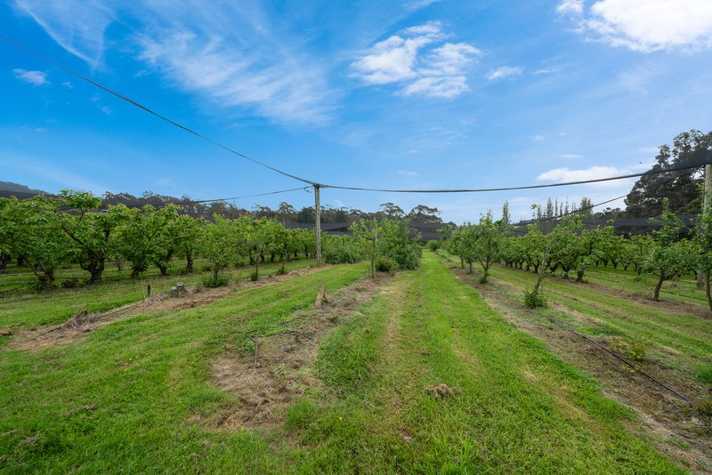 Photo - Lot 1 Hydehurst Road, Lachlan TAS 7140 - Image 14