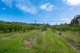 Photo - Lot 1 Hydehurst Road, Lachlan TAS 7140 - Image 14