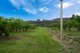 Photo - Lot 1 Hydehurst Road, Lachlan TAS 7140 - Image 15