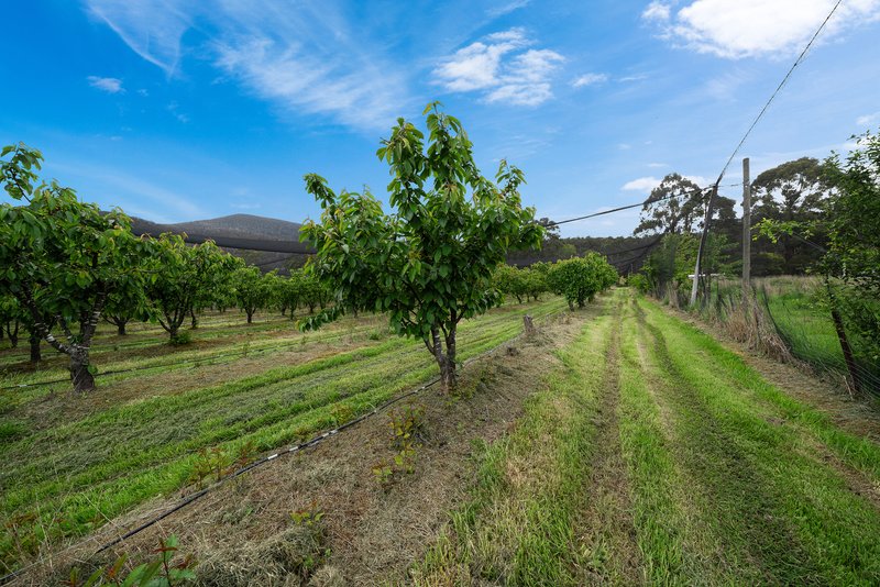 Photo - Lot 1 Hydehurst Road, Lachlan TAS 7140 - Image 16