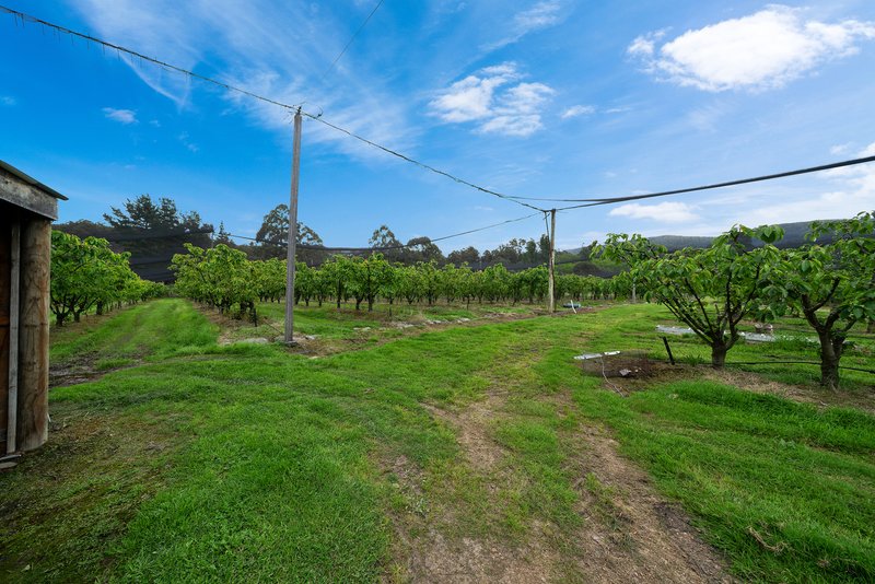 Photo - Lot 1 Hydehurst Road, Lachlan TAS 7140 - Image 21