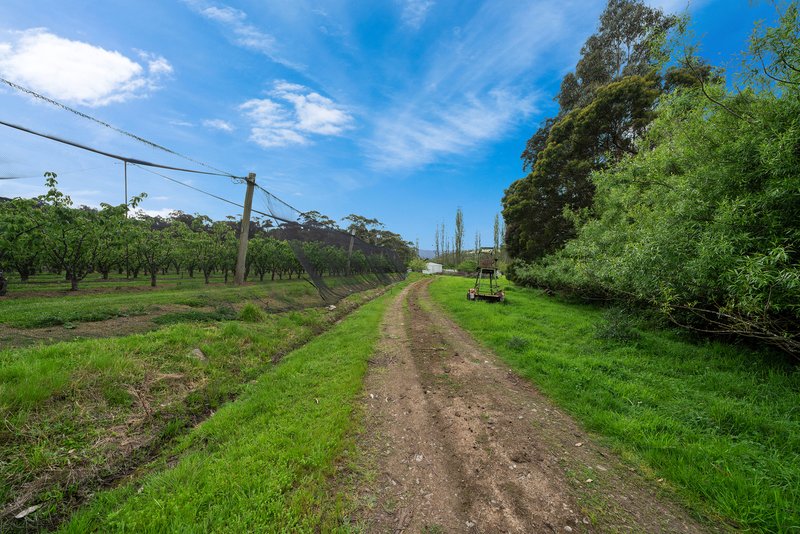 Photo - Lot 1 Hydehurst Road, Lachlan TAS 7140 - Image 23