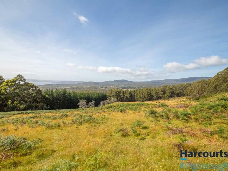 Photo - Lot 1 Lawless Road, Margate TAS 7054 - Image 5