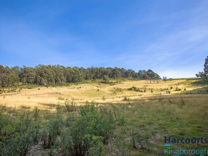 Photo - Lot 1 Lawless Road, Margate TAS 7054 - Image 7