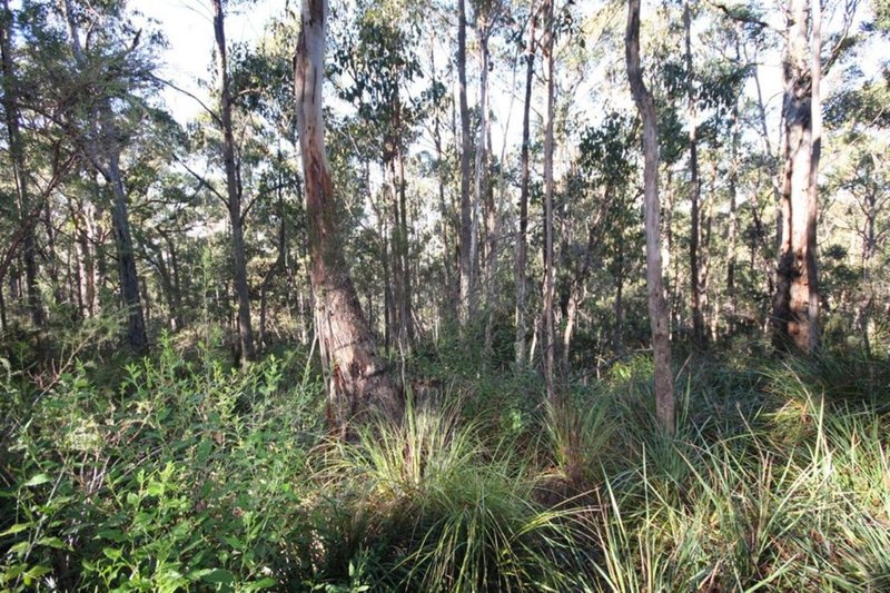 Photo - Lot 1 Leslie Road, Kingston TAS 7050 - Image 2