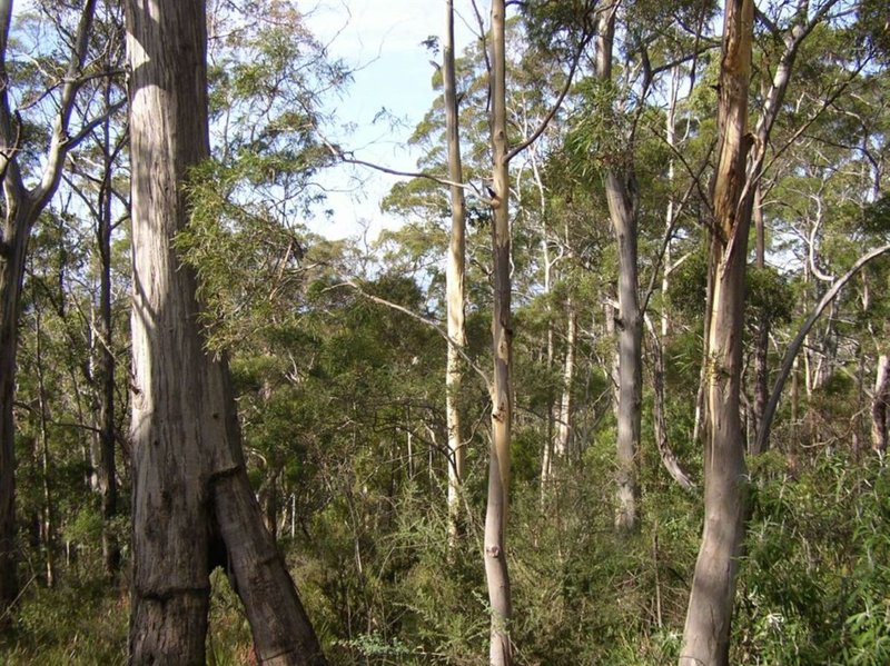 Photo - Lot 1 Leslie Road, Kingston TAS 7050 - Image 4