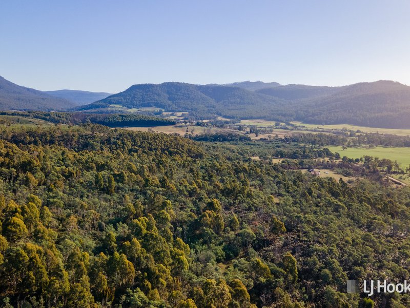 Photo - Lot 1 Liffey Road, Liffey TAS 7301 - Image 9