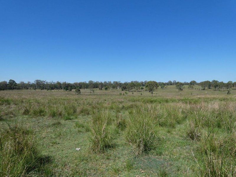 Photo - Lot 1 Lowmead Road, Rosedale QLD 4674 - Image 10