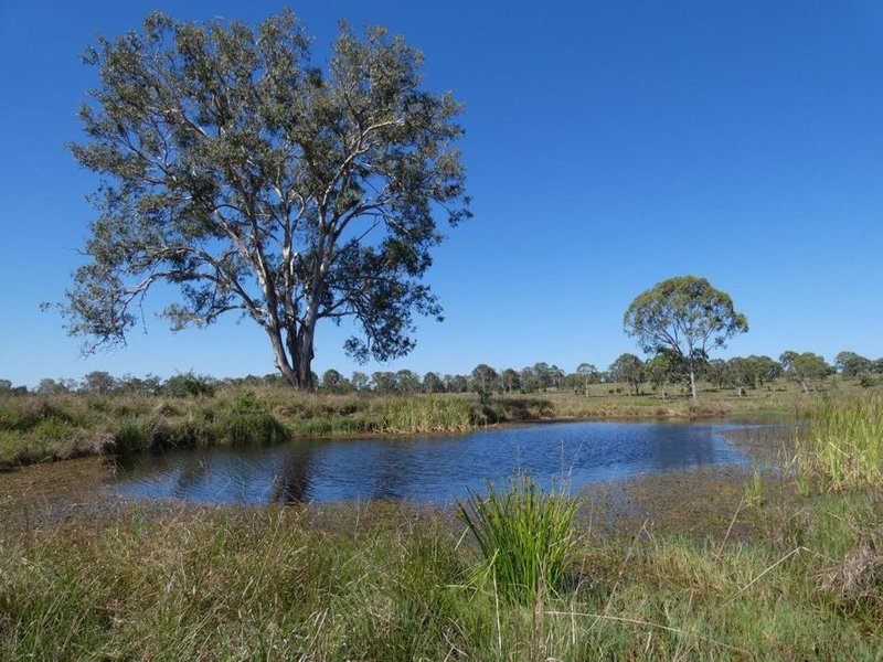 Photo - Lot 1 Lowmead Road, Rosedale QLD 4674 - Image 12