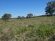 Photo - Lot 1 Lowmead Road, Rosedale QLD 4674 - Image 15