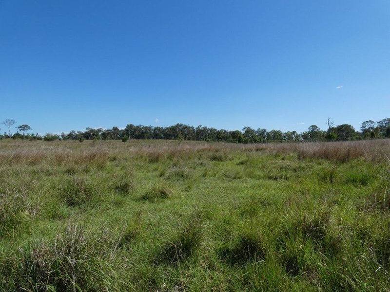 Photo - Lot 1 Lowmead Road, Rosedale QLD 4674 - Image 19