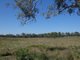 Photo - Lot 1 Lowmead Road, Rosedale QLD 4674 - Image 20