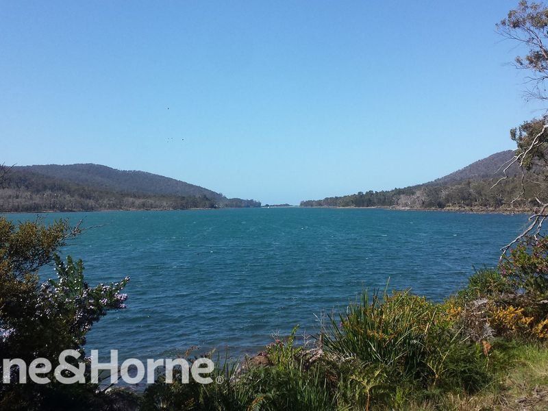 Lot 1 Mason Point Road, Eaglehawk Neck TAS 7179