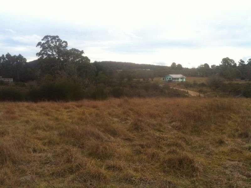 Photo - Lot 1 Mccurleys Road, Harolds Cross NSW 2622 - Image 6