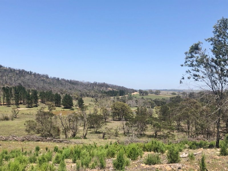 Lot 1 Mount Fairy Road, Mount Fairy NSW 2580 Real Estate Industry