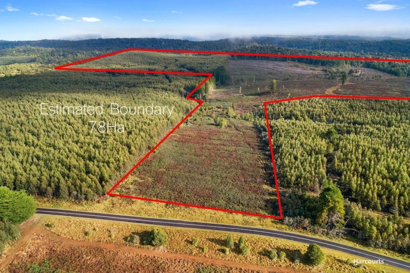 Lot 1 Murchison Highway, Parrawe TAS 7321