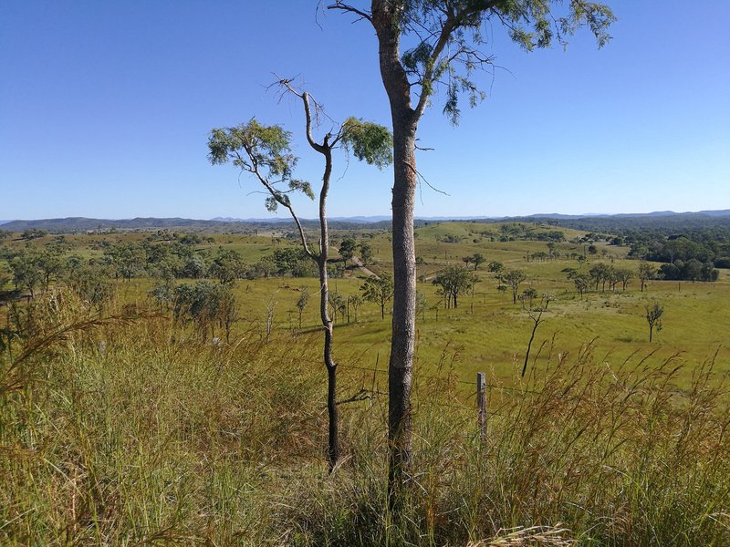 Photo - Lot 1 Murray Road, Calliope QLD 4680 - Image 7