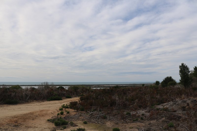 Photo - Lot 1 North East River Road, Palana TAS 7255 - Image 5