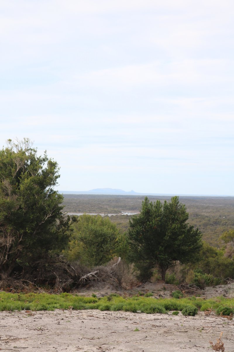 Photo - Lot 1 North East River Road, Palana TAS 7255 - Image 11