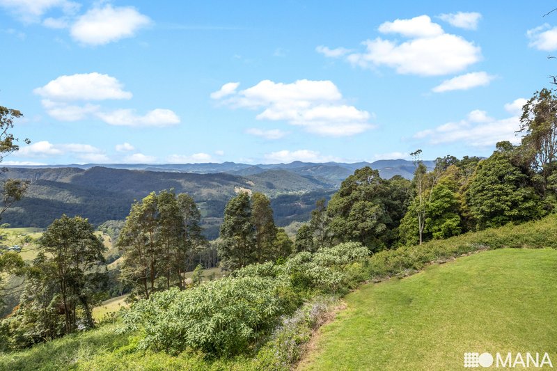 Lot 1 Numinbah Road, Numinbah NSW 2484