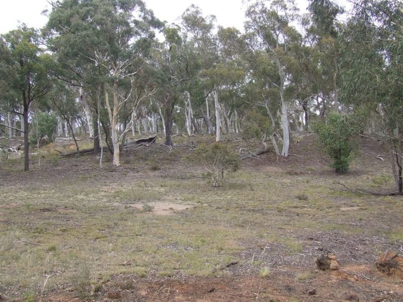 Photo - Lot 1 Oallen Ford Road, Windellama NSW 2580 - Image 3