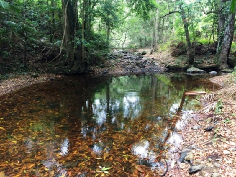 Lot 1 Oehmichen Road, Witta QLD 4552 Real Estate Industry Partners