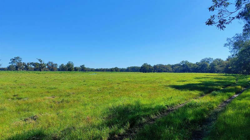 Photo - Lot 1 Orange Springs Road, Cowalla WA 6503 - Image 7