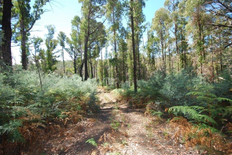 Lot (1) Pearces Road, Strickland TAS 7140