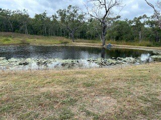 Photo - LOT 1 Peninsula Development Road, Coen QLD 4871 - Image 3