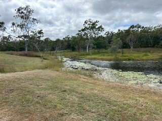 Photo - LOT 1 Peninsula Development Road, Coen QLD 4871 - Image 17