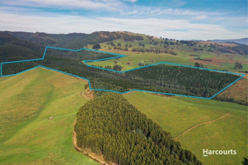 Lot 1 Pinega Road, Ringarooma TAS 7263