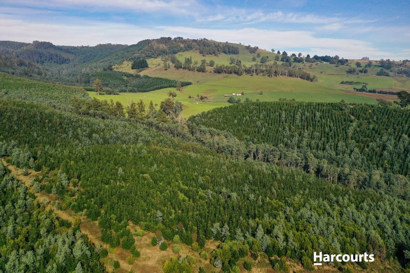 Photo - Lot 1 Pinega Road, Ringarooma TAS 7263 - Image 4