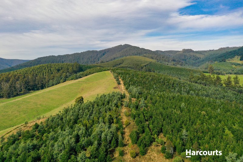 Photo - Lot 1 Pinega Road, Ringarooma TAS 7263 - Image 5