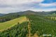 Photo - Lot 1 Pinega Road, Ringarooma TAS 7263 - Image 5