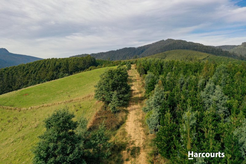 Photo - Lot 1 Pinega Road, Ringarooma TAS 7263 - Image 6