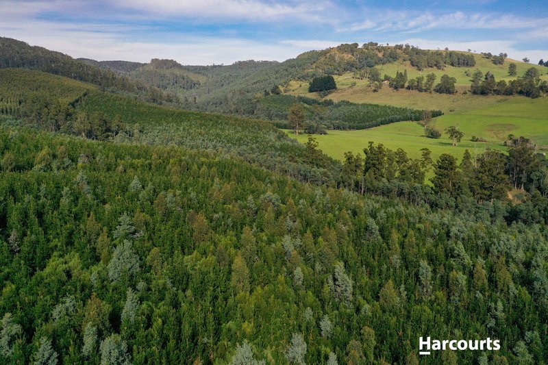 Photo - Lot 1 Pinega Road, Ringarooma TAS 7263 - Image 7