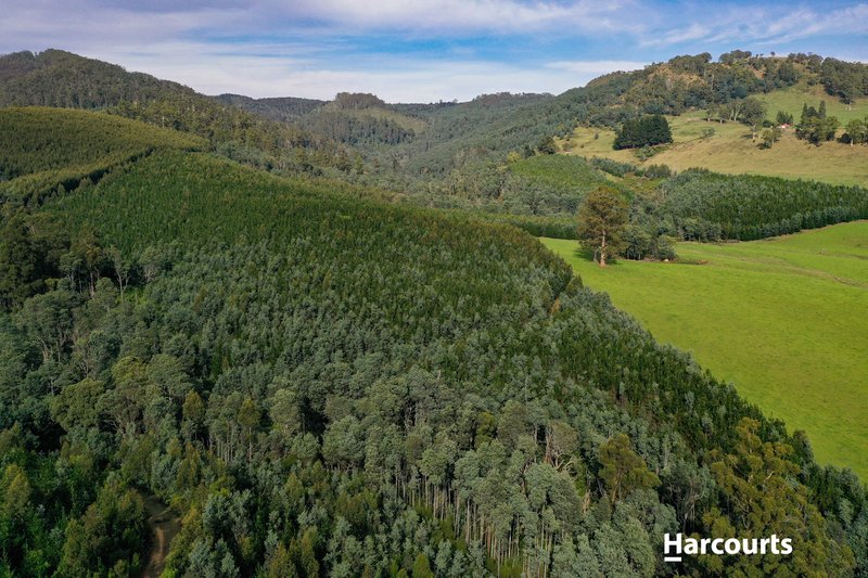 Photo - Lot 1 Pinega Road, Ringarooma TAS 7263 - Image 8