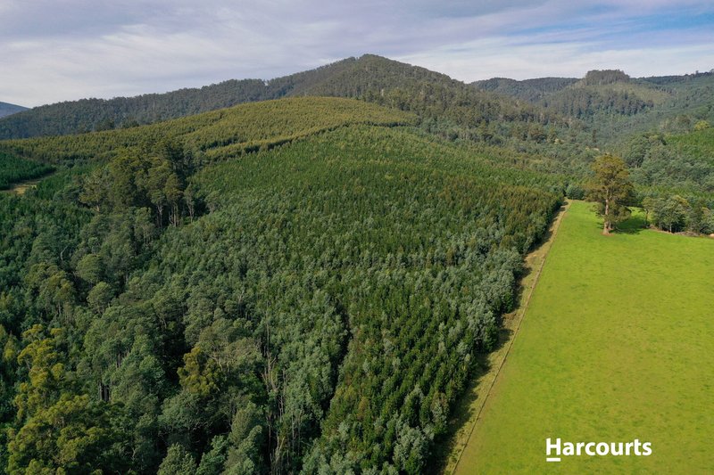 Photo - Lot 1 Pinega Road, Ringarooma TAS 7263 - Image 9