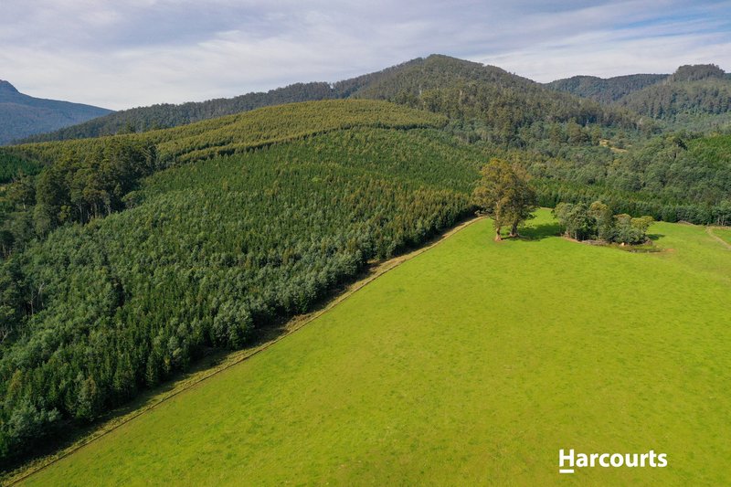 Photo - Lot 1 Pinega Road, Ringarooma TAS 7263 - Image 10