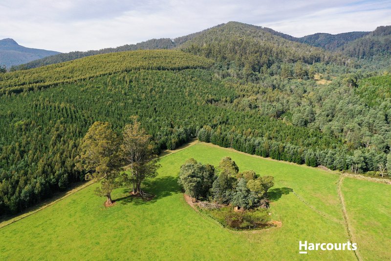 Photo - Lot 1 Pinega Road, Ringarooma TAS 7263 - Image 11