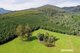 Photo - Lot 1 Pinega Road, Ringarooma TAS 7263 - Image 11