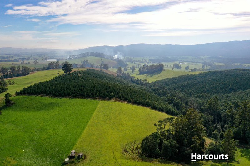 Photo - Lot 1 Pinega Road, Ringarooma TAS 7263 - Image 12