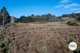 Photo - Lot 1 Rayners Hill Road, Ellendale TAS 7140 - Image 4