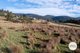 Photo - Lot 1 Rayners Hill Road, Ellendale TAS 7140 - Image 8