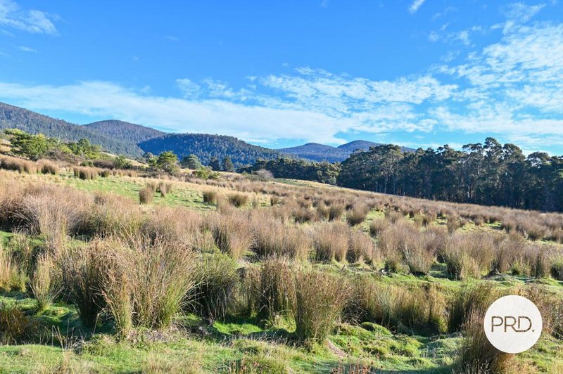 Photo - Lot 1 Rayners Hill Road, Ellendale TAS 7140 - Image 12