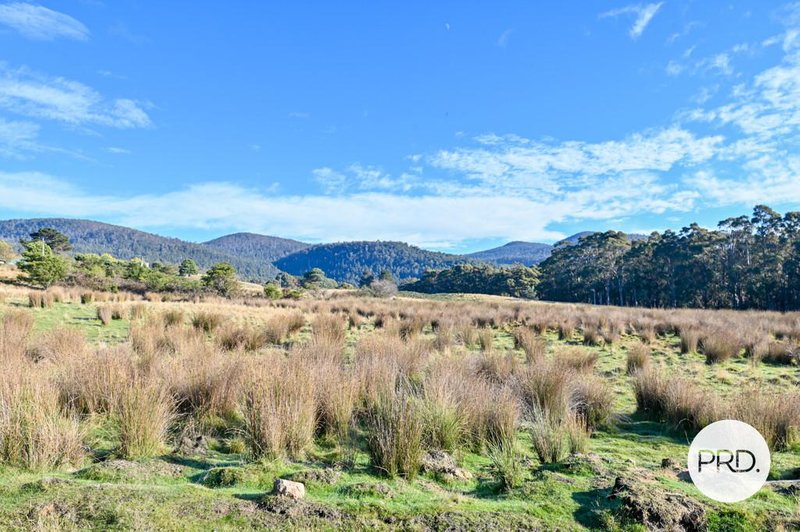 Photo - Lot 1 Rayners Hill Road, Ellendale TAS 7140 - Image 14