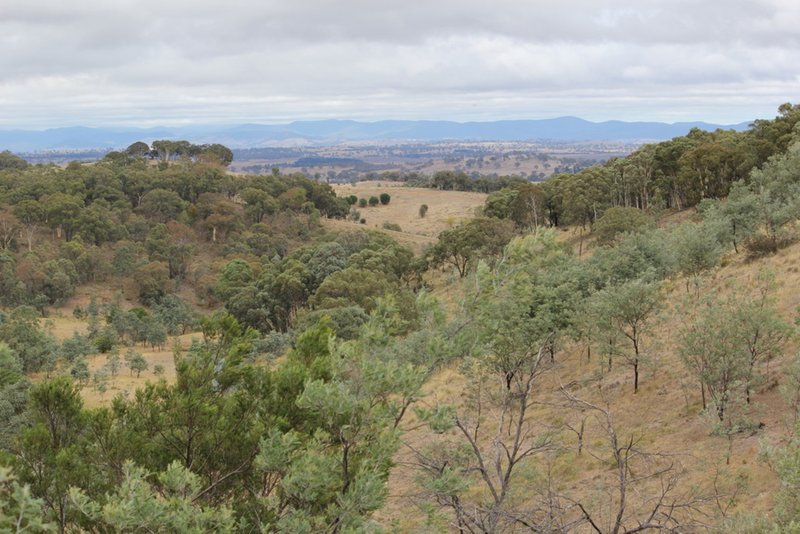 Lot 1 Reardons Road. , Yass NSW 2582