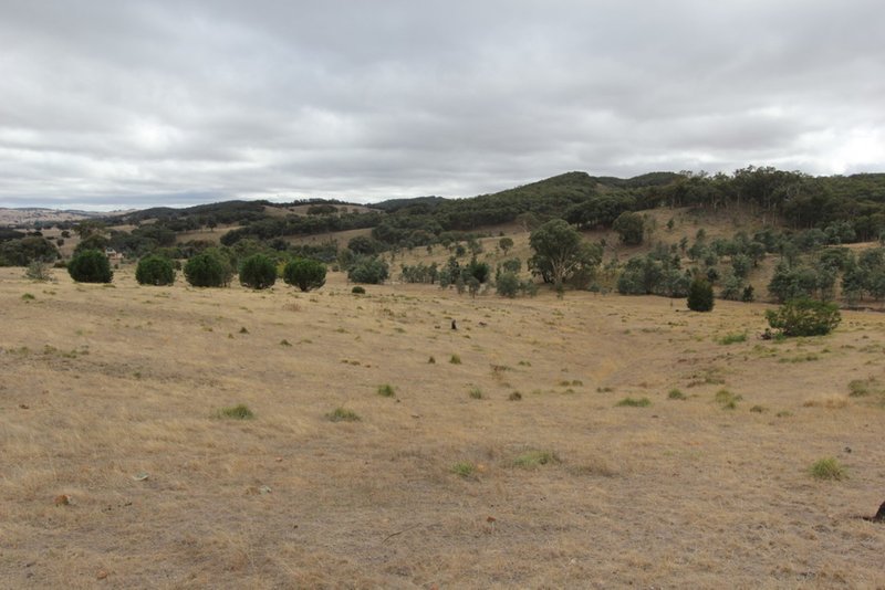 Photo - Lot 1 Reardons Road. , Yass NSW 2582 - Image 6