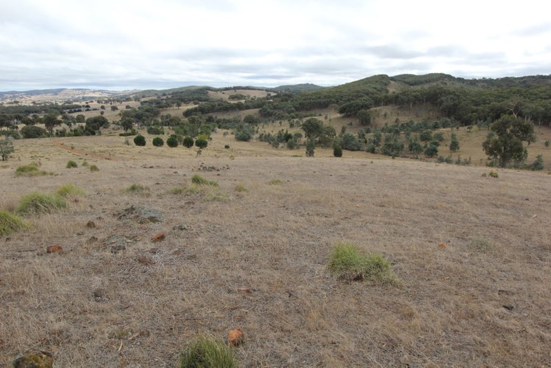 Photo - Lot 1 Reardons Road. , Yass NSW 2582 - Image 11