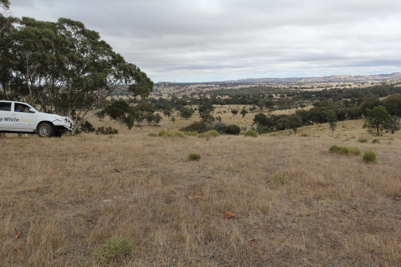 Photo - Lot 1 Reardons Road. , Yass NSW 2582 - Image 12